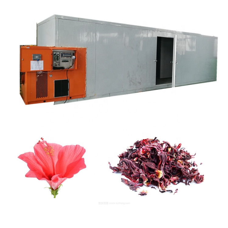 hibiscus mutabilis flower chrysanthemum rose honeysuckle fruits and vegetables dryer chrysanthemum  drying machine